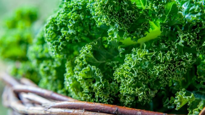 Having Lung Problems? Eat Your Veggies, Science Says
