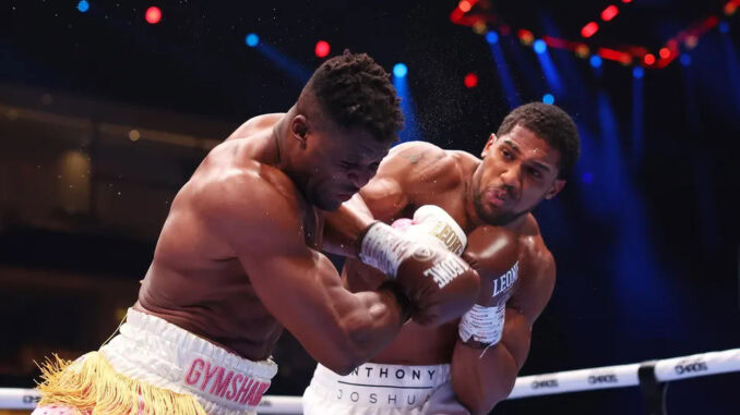 Francis Ngannou Shuts Down Jake Paul Fight Talk, ‘Don’t Be Silly’