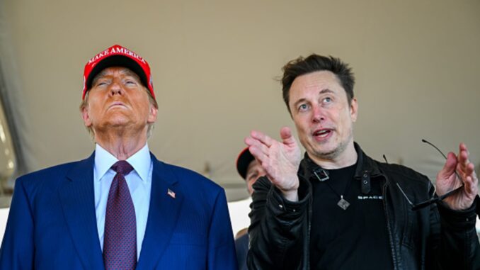 Tesla shares tumble after Trump says DOGE should look at Elon Musk’s subsidies