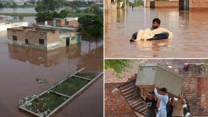 Nearly 250K people displaced by deadly floods in Pakistan