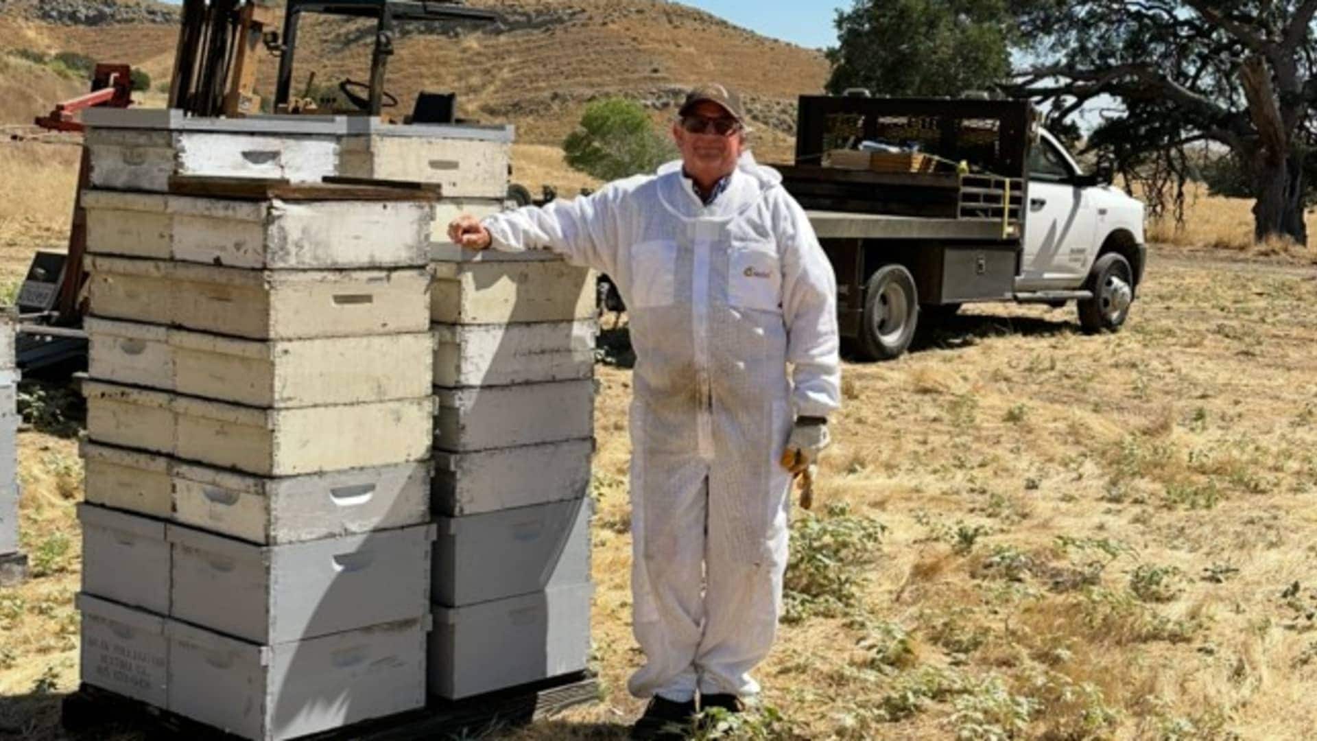 how-a-70-year-old-beekeeper-is-keeping-his-family-honey-farm-afloat-its-a-legacy-that-i-fe6a6613c277be5.jpg How a 70-year-old beekeeper is keeping his family honey farm afloat: ‘It’s a legacy that I feel responsible for’