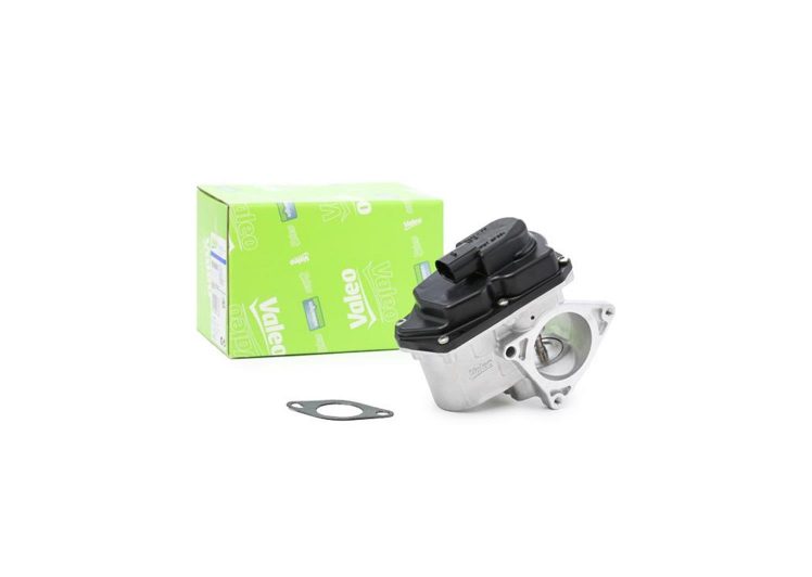 EGR ventil VALEO VW Golf V 2.0TDI, Passat, Seat, 700424