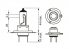Žarulja BOSCH H7 12V 55W 1987301170 PX26D GIGALIGHT PLUS 120 1/1