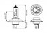 Žarulja BOSCH H4 12V 60/55W 1987301136 P43T GIGALIGHT PLUS 150 BLISTER 1/1