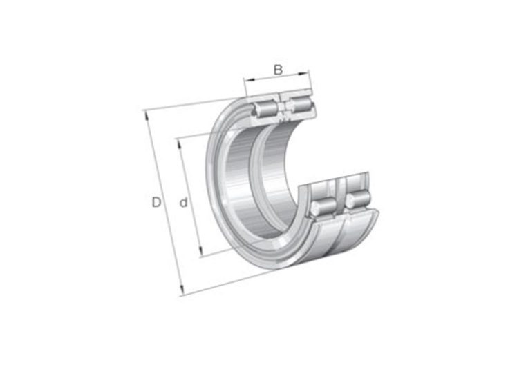 Ležaj ravni valjkasti dvoredni sl045020-d-pp – 100x150x67 INA