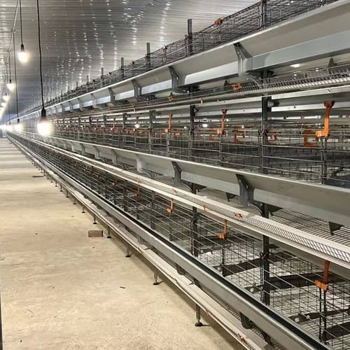Close-up view of H-Type battery cage system for layer hens