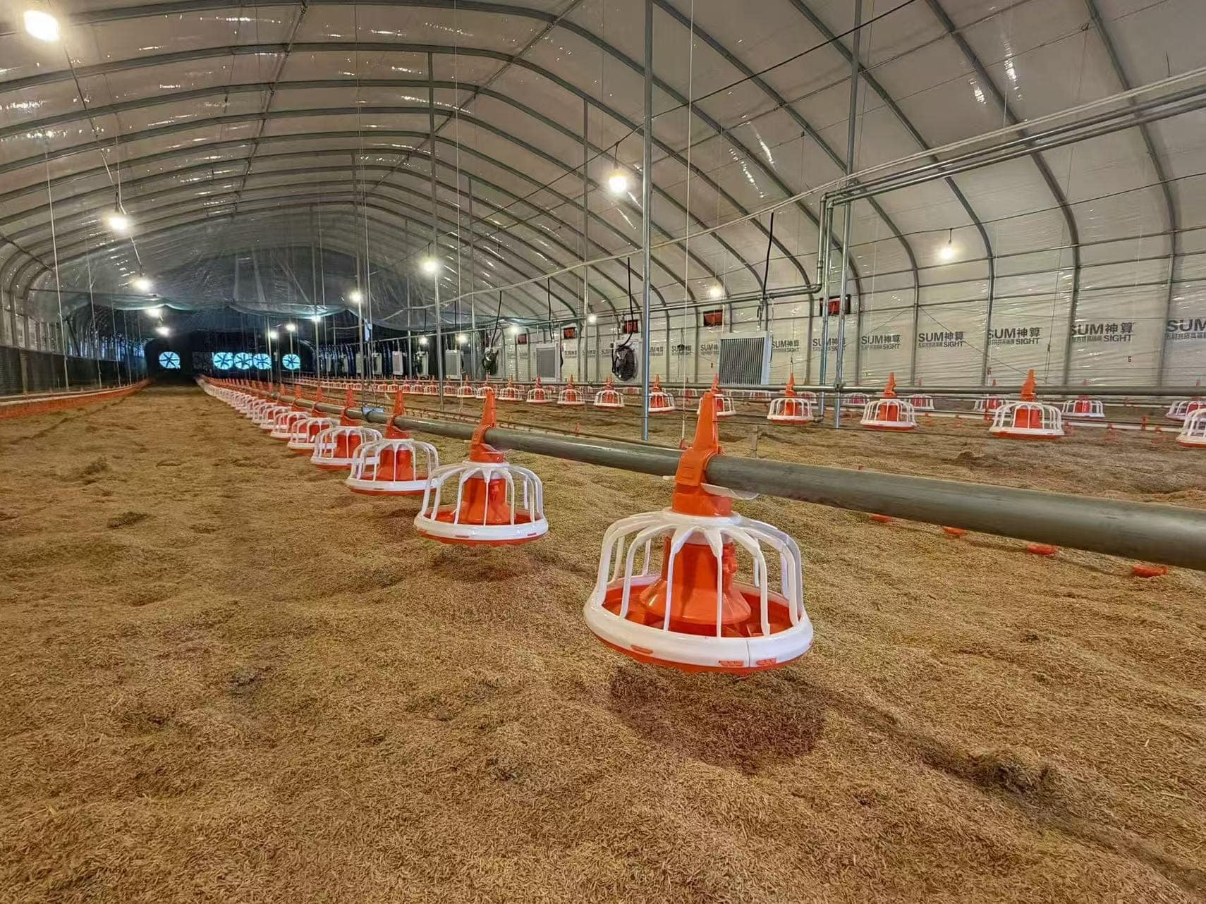 automatic poultry feeding line layout inside a commercial broiler house