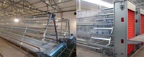 2026 A-Type Battery Cages for Layer Hens in Commercial Farm