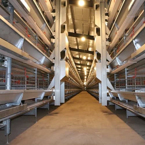 2026 Turnkey Poultry Farm Projects for International Buyers