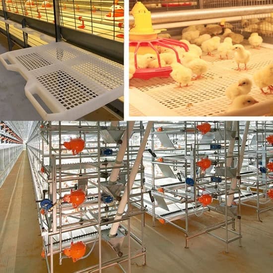 Automated nipple drinking lines installed in H-type multi-tier broiler cages
