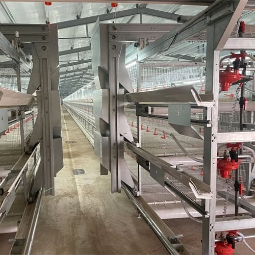 2026 Broiler Turnkey Project with Automated Equipment
