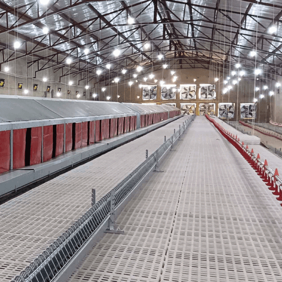 Automated breeder floor system with central automatic nest boxes and plastic slatted flooring