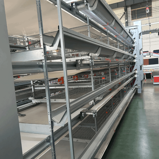 2026 Broiler vs Layer Equipment Risk Resistance Comparison
