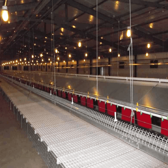 Automated breeder floor system with central automatic nest boxes and plastic slatted flooring