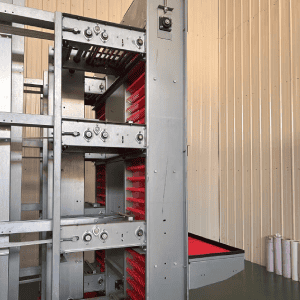 Automated central egg collection system with vertical lifter in H-type layer cage house