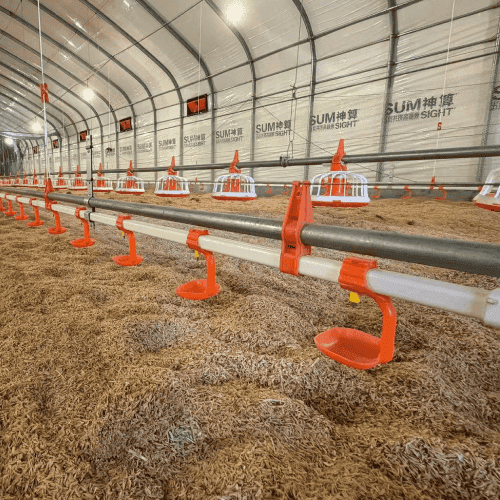 broiler house lighting program LED system 0-42 day broiler lighting schedule