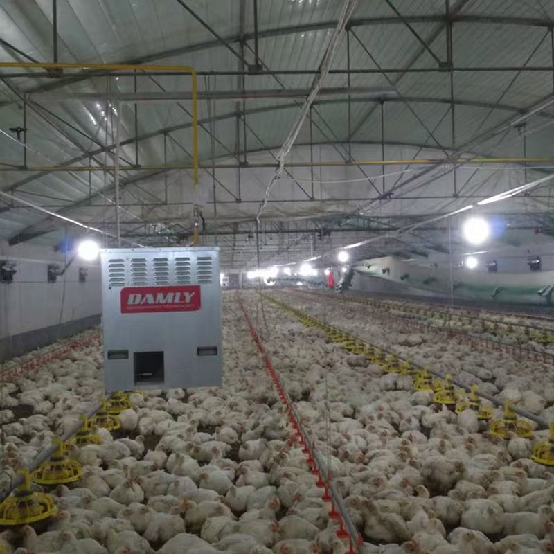 Gas heater for a commercial poultry house