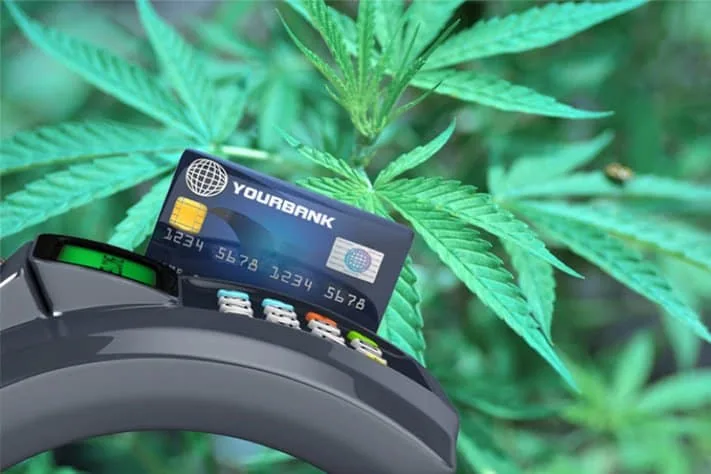 Cannabis-payment- 711x474 Credit card terminal with debit card swiping through cannabis leaves in background