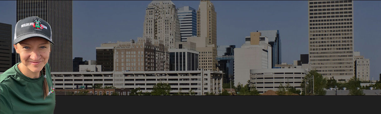 WILDLIFE X TEAM OKLAHOMA CITY HEADER GRAPHIC
