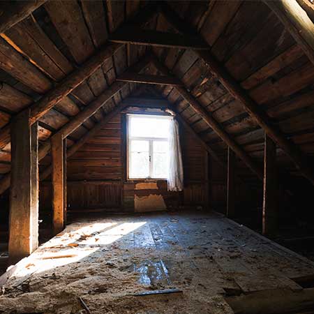 Snake entry inspection in a Norman Oklahoma attic