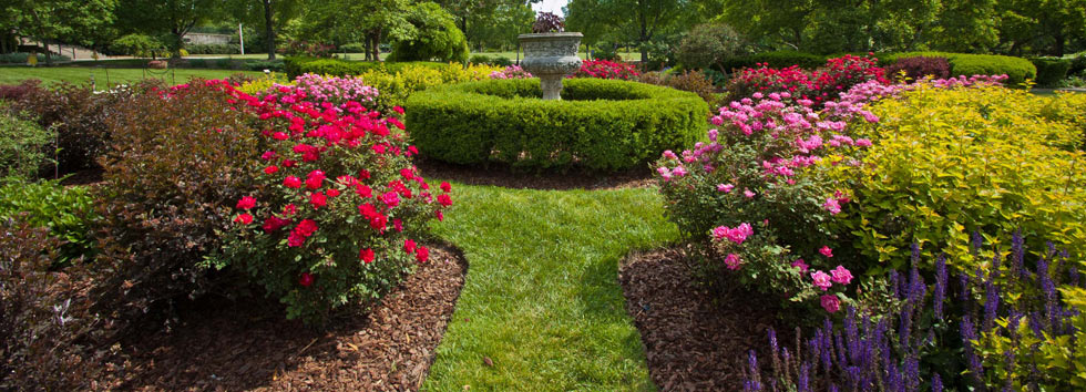banner-spring-clean