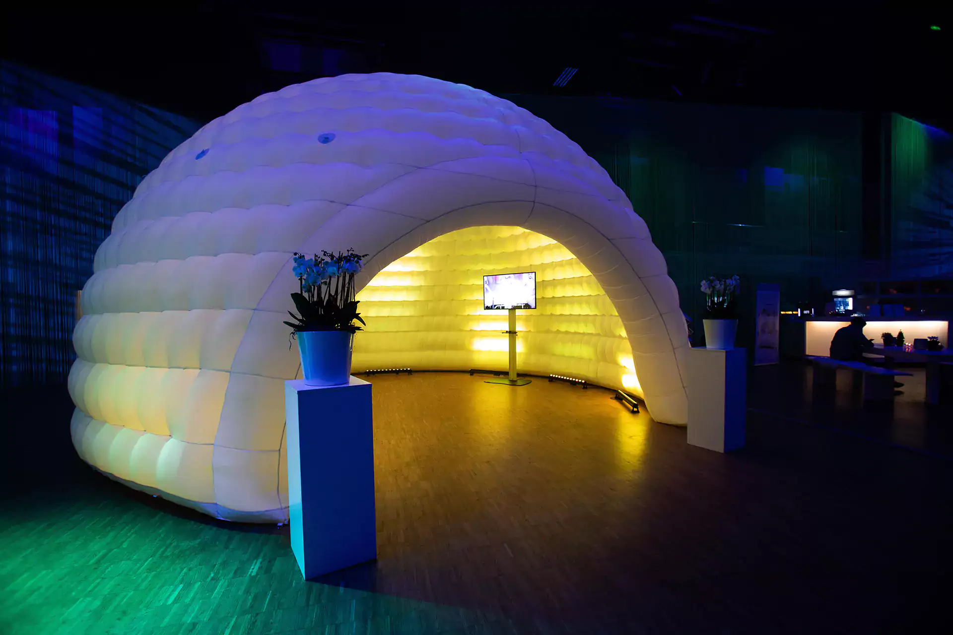 Reuze Iglo