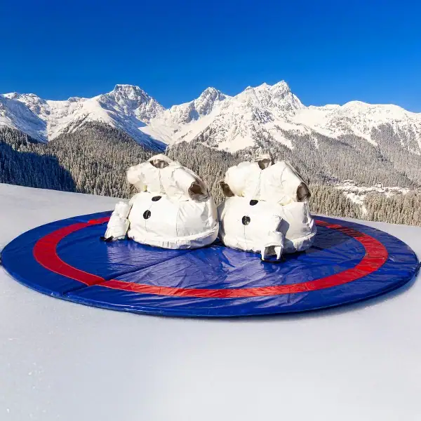 Sneeuwpop Worstelen