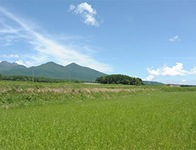 八ヶ岳の麓にあるウーリー農園