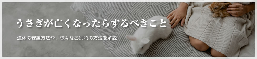 ペットが死んだらどうするの？