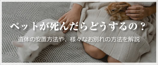 ペットが死んだらどうするの？