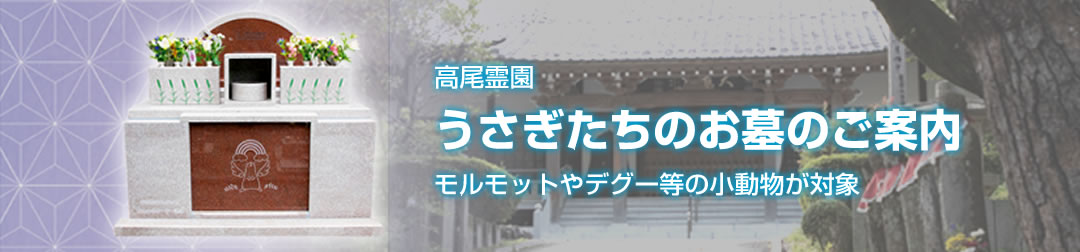 うさぎたちのお墓