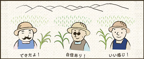 USA牧草がお手元に届くまで