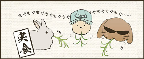 USA牧草がお手元に届くまで
