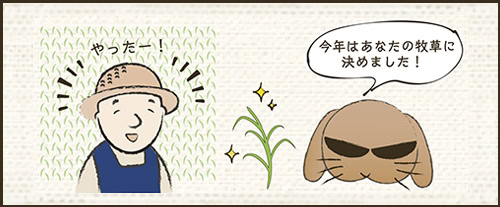 USA牧草がお手元に届くまで