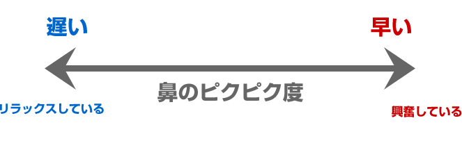 鼻のおはなし