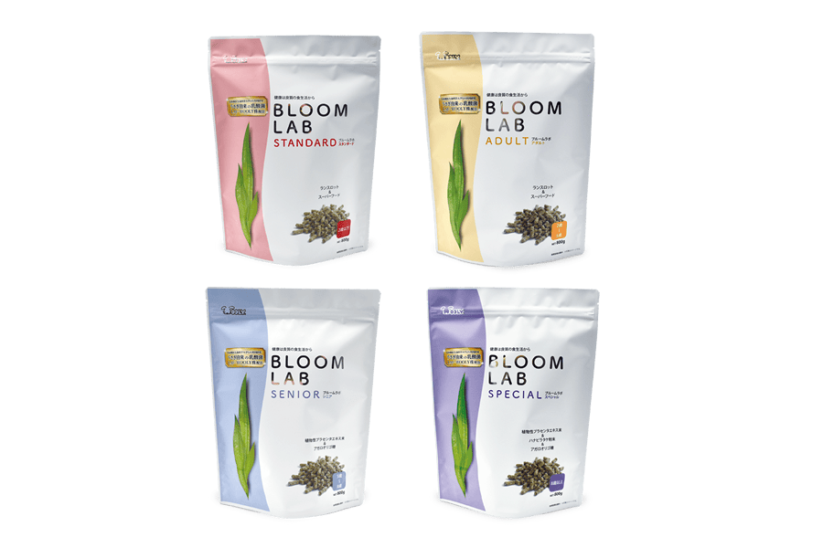 BLOOM LAB