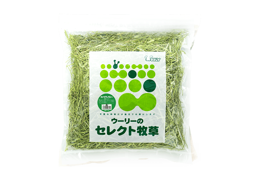 カナダティモシー