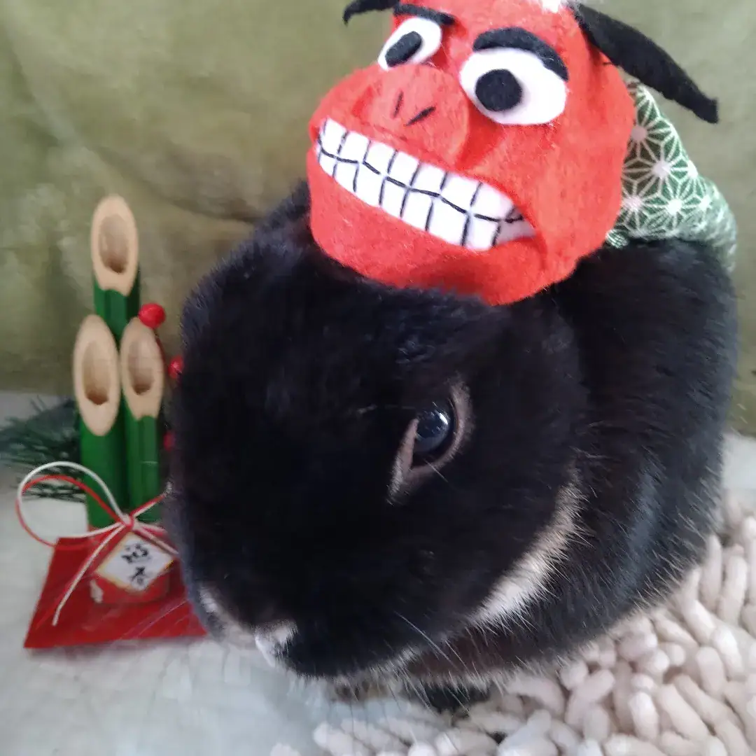 くろうさ飼いさん家の蔵之助くん
