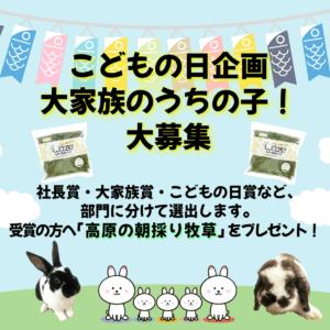 うちの子！『こどもの日　大家族のうちの子』大賞発表🎉