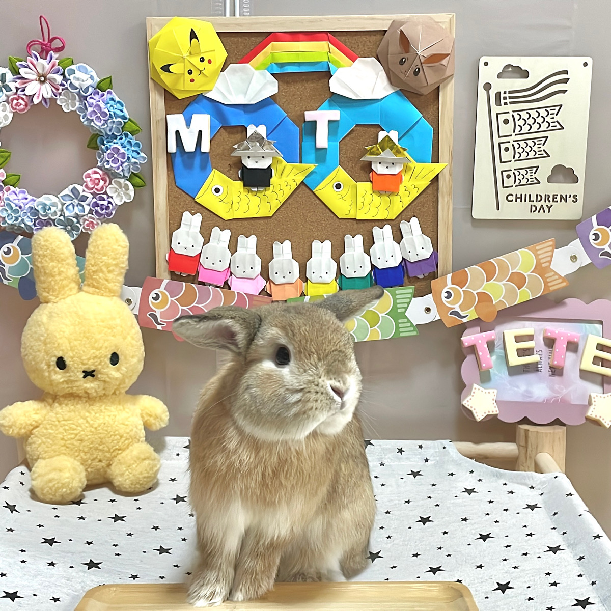 T&Mママさん家のテテ＆めめくん