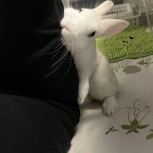 まるさん家のひまちゃんくん