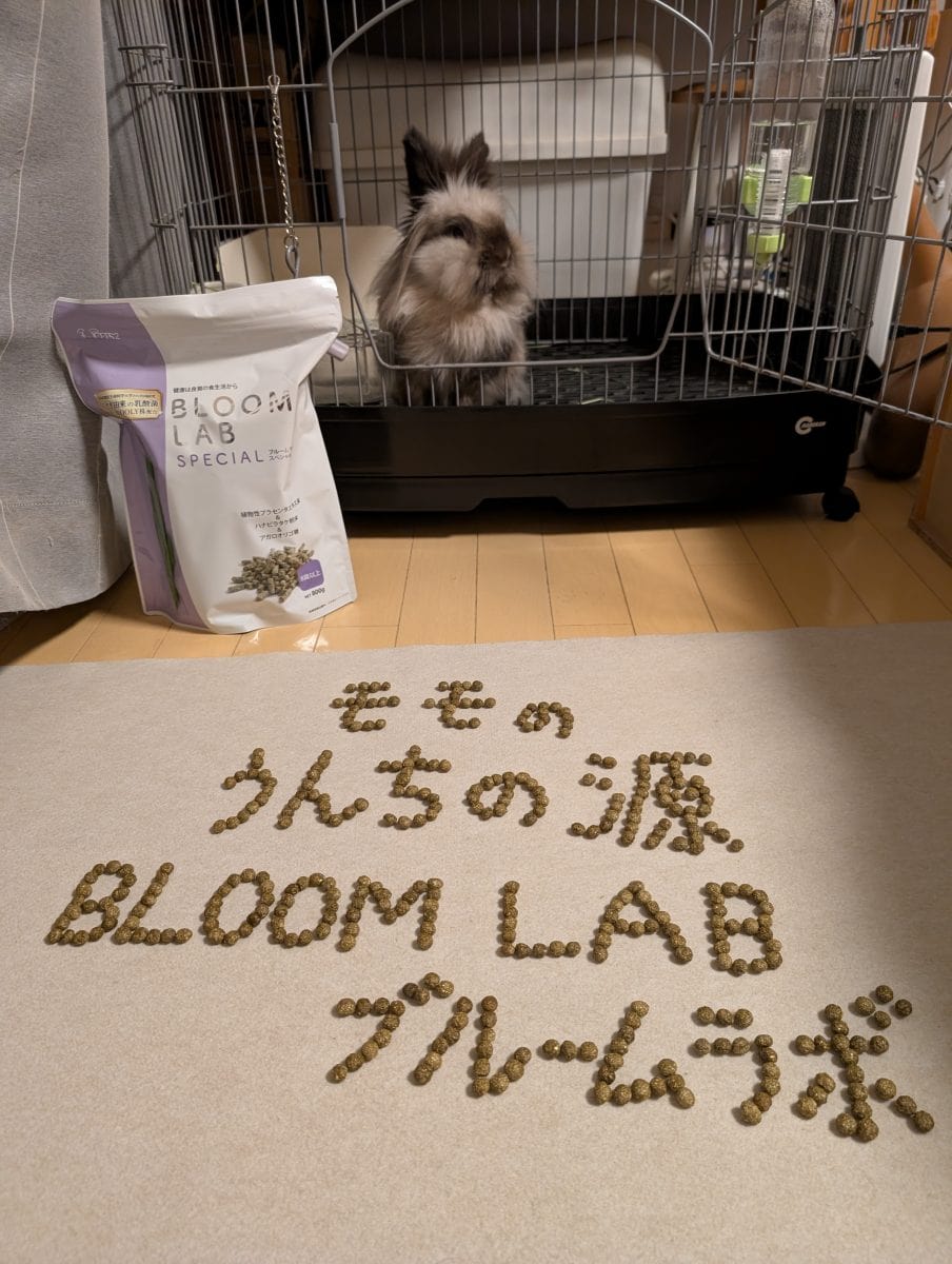 モモちゃん