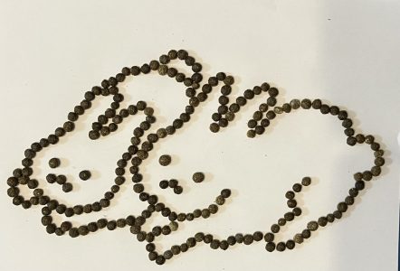 ニコ＆ビッケくん