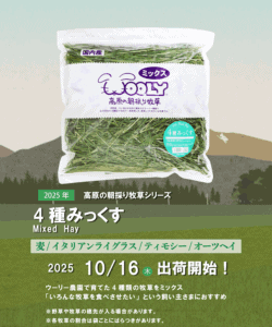 出荷情報　４種みっくす