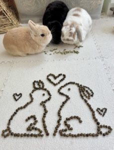 みぃさん家のいのち・かむい・きせき・せかいくん