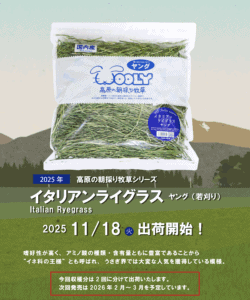 出荷情報　イタリアンライグラスヤング