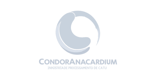 CONDOR Grayscale (1) (1)