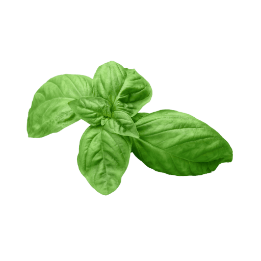 Untitled design img