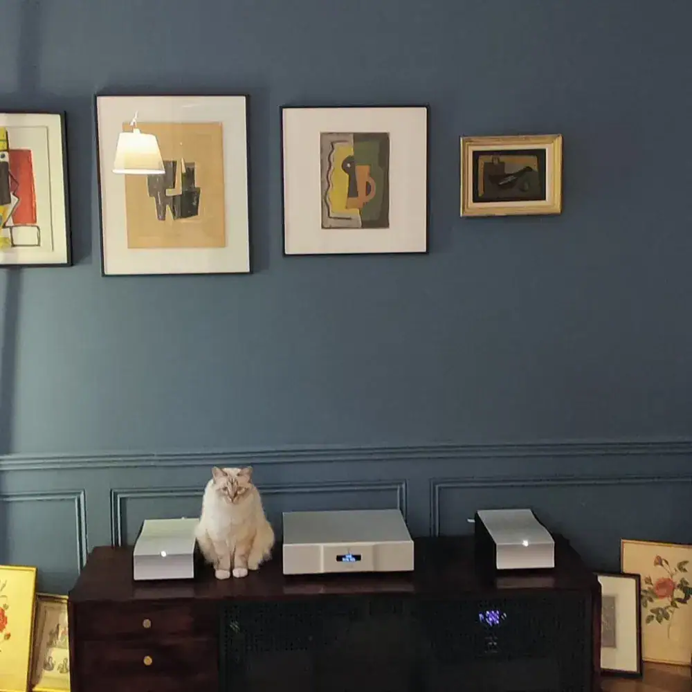 Système composé de deux blocs mono Mola-Mola Kaluga et d'un DAC Vermeer Audio Three. Sur la photo, on peut également voir un chat blanc et des tableaux au mur.