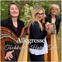 illustrationallegresse.jpg